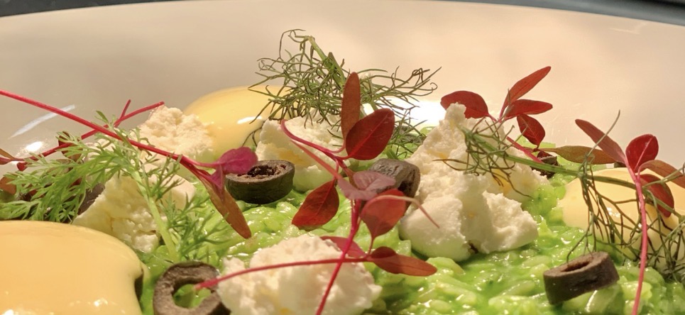 gruenes Risotto mit Ziegenfrischkaese Kraeutern Espuma und Oliven